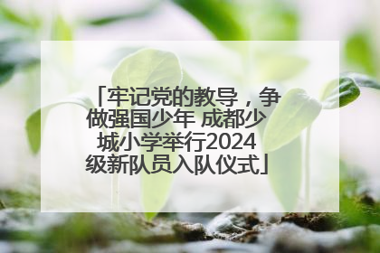 牢记党的教导，争做强国少年 成都少城小学举行2024级新队员入队仪式