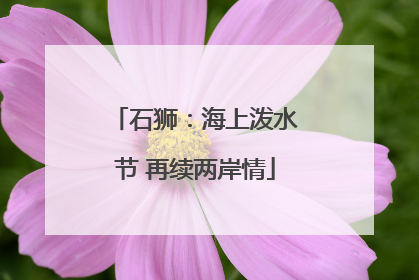 石狮：海上泼水节 再续两岸情