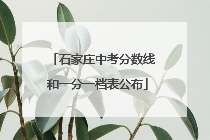 石家庄中考分数线和一分一档表公布