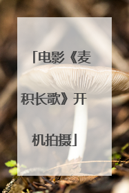 电影《麦积长歌》开机拍摄