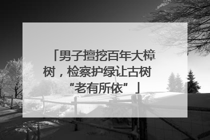 男子擅挖百年大樟树，检察护绿让古树“老有所依”