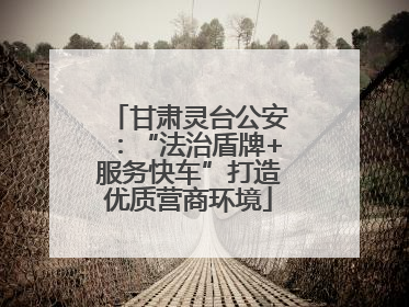 甘肃灵台公安：“法治盾牌+服务快车”打造优质营商环境