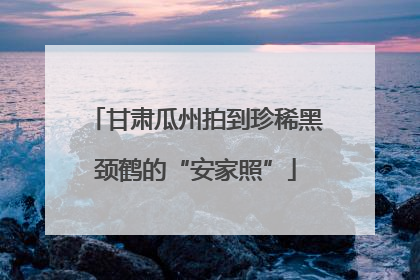 甘肃瓜州拍到珍稀黑颈鹤的“安家照”