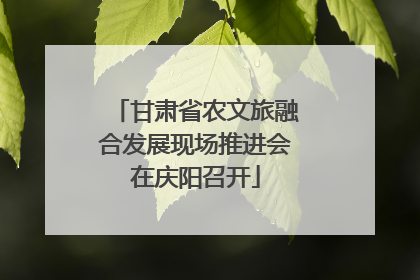 甘肃省农文旅融合发展现场推进会在庆阳召开