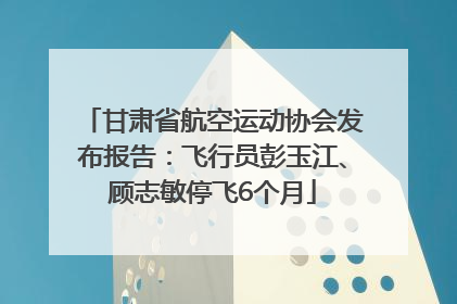 甘肃省航空运动协会发布报告：飞行员彭玉江、顾志敏停飞6个月