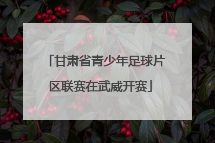 甘肃省青少年足球片区联赛在武威开赛