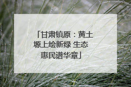 甘肃镇原：黄土塬上绘新绿 生态惠民谱华章