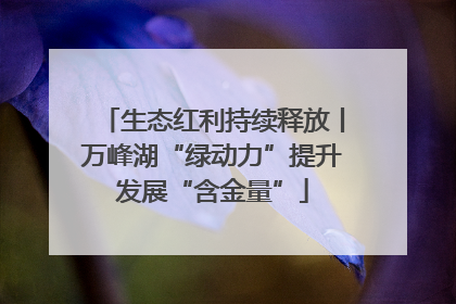 生态红利持续释放丨万峰湖“绿动力”提升发展“含金量”