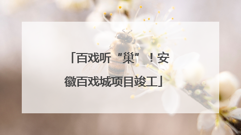 百戏听“巢”！安徽百戏城项目竣工