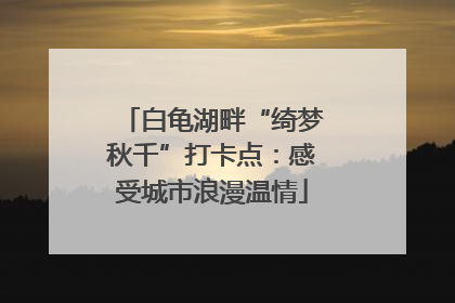 白龟湖畔“绮梦秋千”打卡点：感受城市浪漫温情