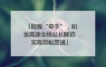 皖豫“牵手”，和襄高速全线最长隧道实现双幅贯通