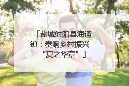 盐城射阳县海通镇：奏响乡村振兴“夏之华章”