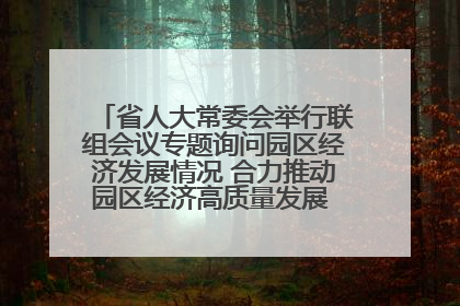 省人大常委会举行联组会议专题询问园区经济发展情况 合力推动园区经济高质量发展 王宁主持会议并讲话 王予波带队到会应询