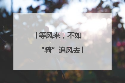 等风来，不如一“骑”追风去