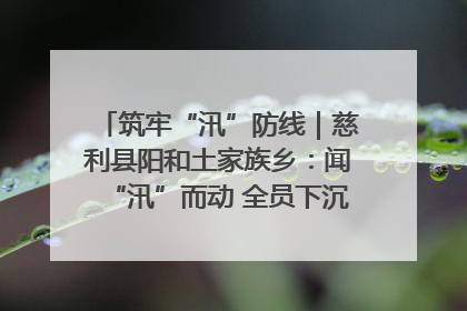 筑牢“汛”防线｜慈利县阳和土家族乡：闻“汛”而动 全员下沉筑牢防汛“安全堤”