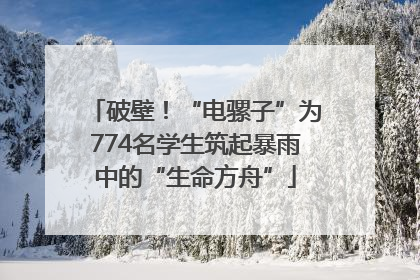 破壁！“电骡子”为774名学生筑起暴雨中的“生命方舟”