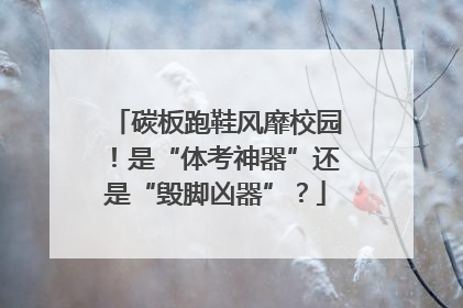 碳板跑鞋风靡校园！是“体考神器”还是“毁脚凶器”？
