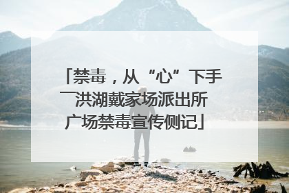 禁毒，从“心”下手――洪湖戴家场派出所广场禁毒宣传侧记
