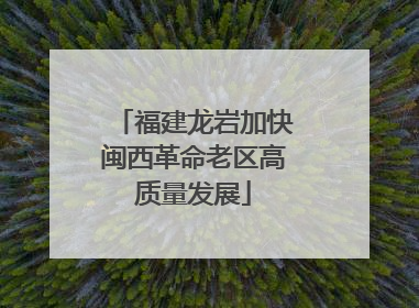 福建龙岩加快闽西革命老区高质量发展