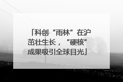 科创“雨林”在沪茁壮生长，“硬核”成果吸引全球目光