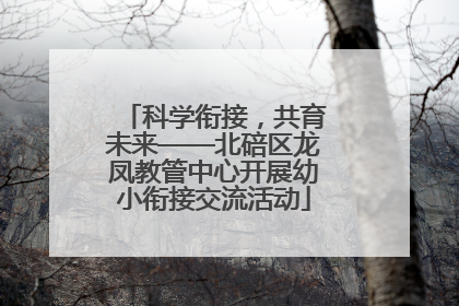科学衔接，共育未来——北碚区龙凤教管中心开展幼小衔接交流活动
