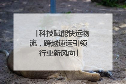 科技赋能快运物流，跨越速运引领行业新风向