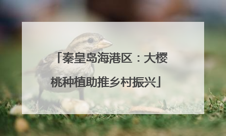 秦皇岛海港区：大樱桃种植助推乡村振兴