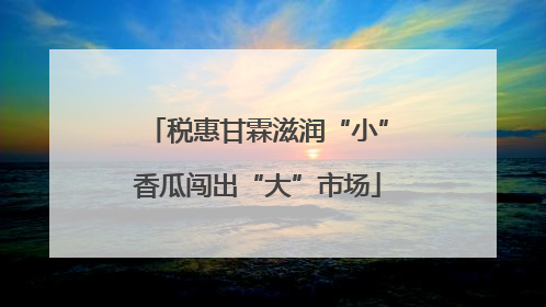 税惠甘霖滋润“小”香瓜闯出“大”市场