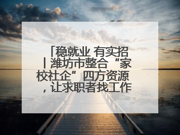 稳就业 有实招丨潍坊市整合“家校社企”四方资源，让求职者找工作不孤单