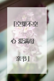空巢不空心 爱满母亲节