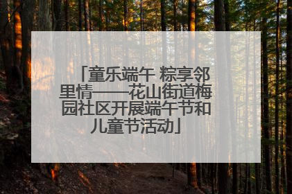 童乐端午 粽享邻里情——花山街道梅园社区开展端午节和儿童节活动