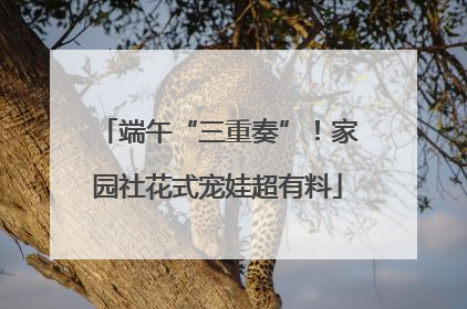 端午“三重奏”！家园社花式宠娃超有料