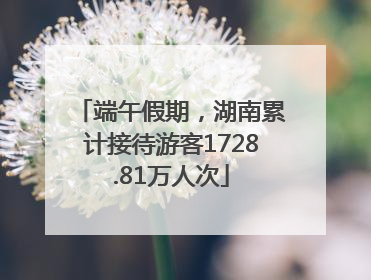 端午假期，湖南累计接待游客1728.81万人次