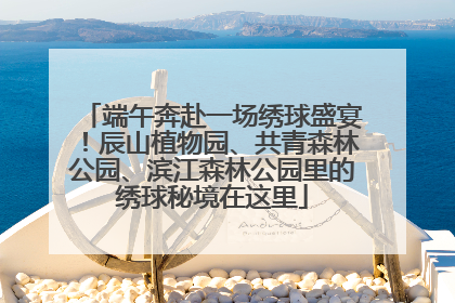 端午奔赴一场绣球盛宴！辰山植物园、共青森林公园、滨江森林公园里的绣球秘境在这里