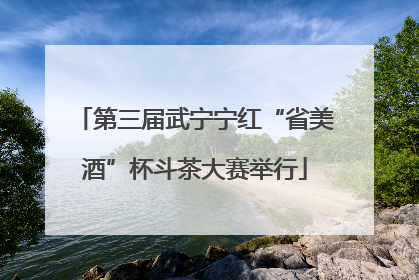 第三届武宁宁红“省美酒”杯斗茶大赛举行