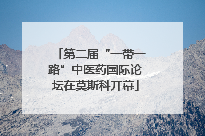 第二届“一带一路”中医药国际论坛在莫斯科开幕