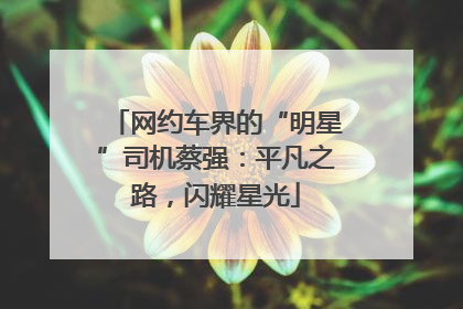 网约车界的“明星”司机蔡强：平凡之路，闪耀星光