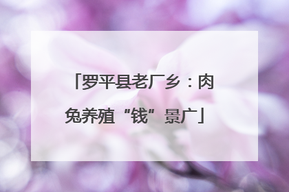 罗平县老厂乡：肉兔养殖“钱”景广
