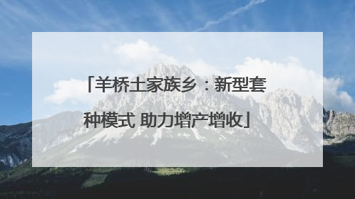 羊桥土家族乡：新型套种模式 助力增产增收