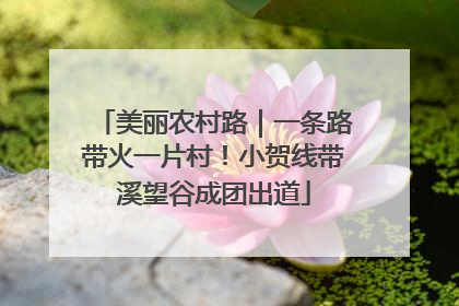 美丽农村路｜一条路带火一片村！小贺线带溪望谷成团出道