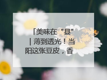美味在“县”｜薄到透光！当阳这张豆皮，香飘数百年