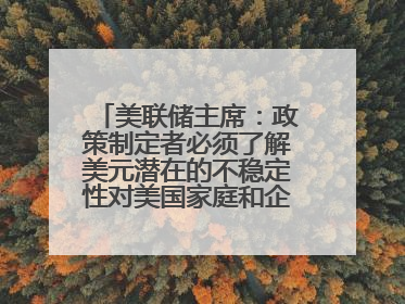 美联储主席：政策制定者必须了解美元潜在的不稳定性对美国家庭和企业的影响
