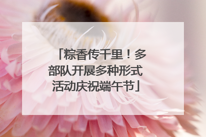 粽香传千里！多部队开展多种形式活动庆祝端午节