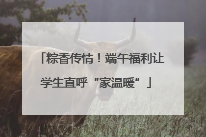 粽香传情！端午福利让学生直呼“家温暖”