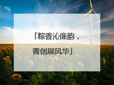 粽香沁廉韵，青创展风华