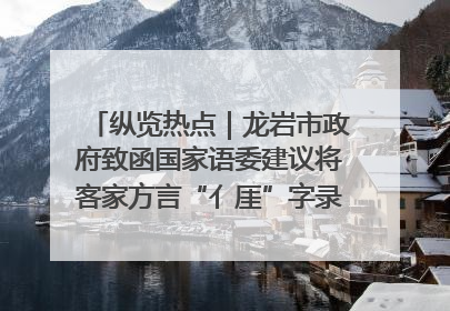 纵览热点｜龙岩市政府致函国家语委建议将客家方言“亻厓”字录入《新华字典》引发热议，当地回应