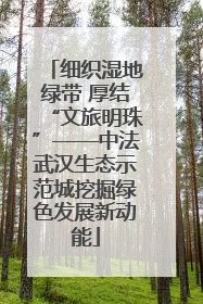 细织湿地绿带 厚结“文旅明珠”——中法武汉生态示范城挖掘绿色发展新动能
