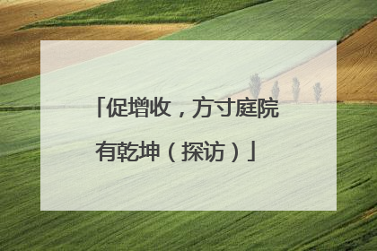 促增收，方寸庭院有乾坤（探访）