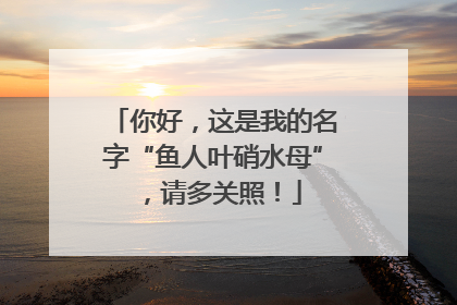 你好，这是我的名字“鱼人叶硝水母”，请多关照！