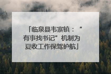 临泉县韦寨镇：“有事找书记”机制为夏收工作保驾护航